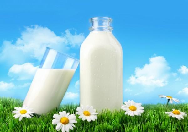 organic-milk